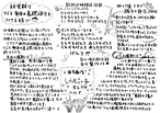 あきこ通信