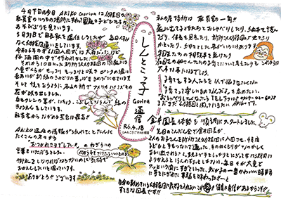 あきこ通信
